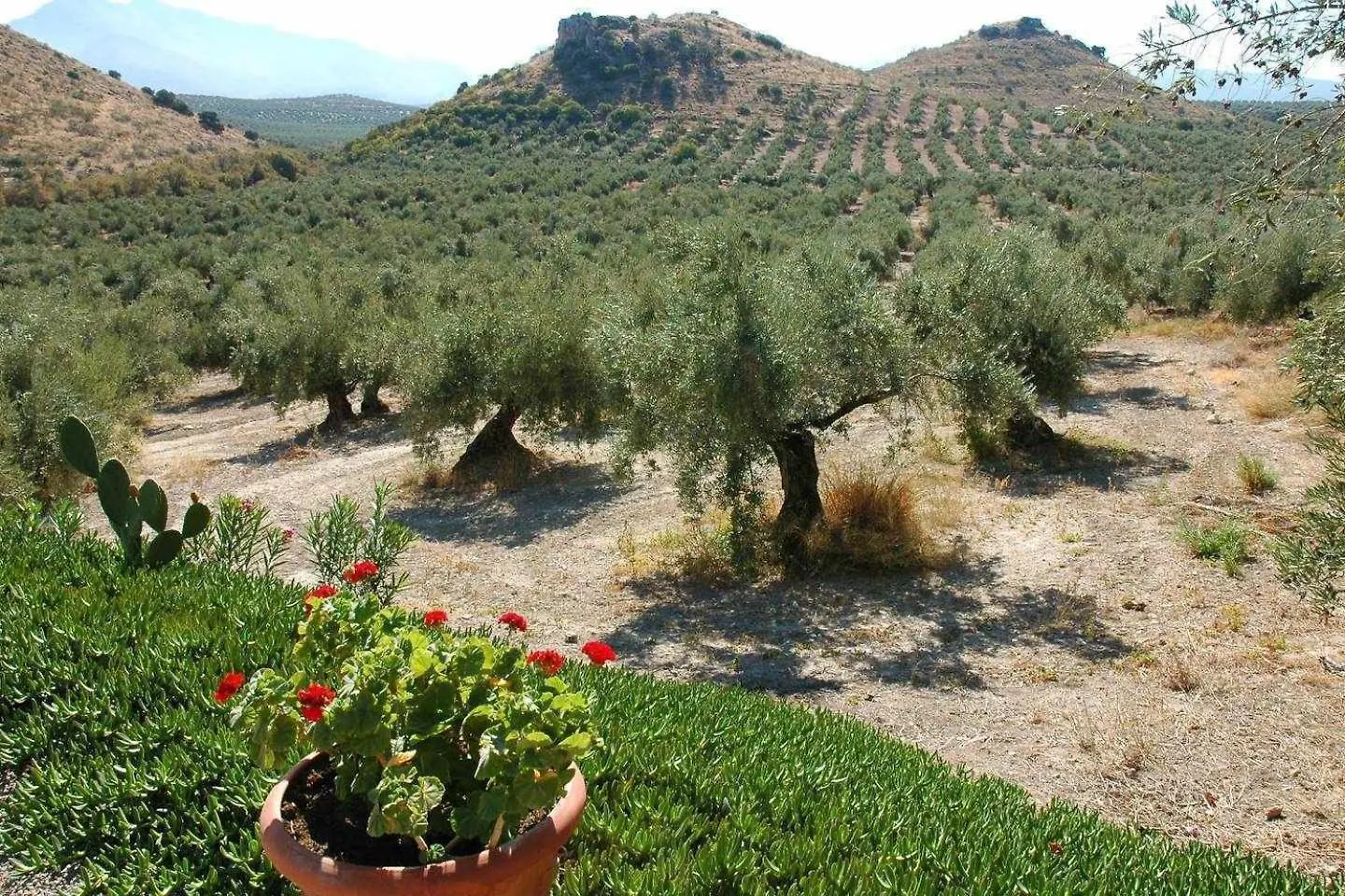 Country house Casa Rural La Cateta Mancha Real